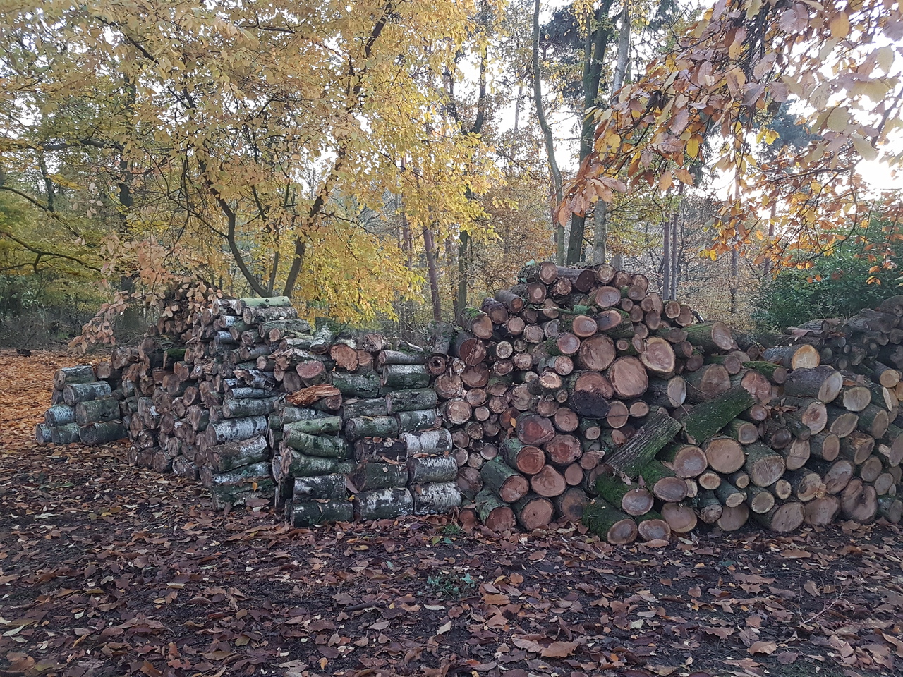 boomverzorgers Huldenberg | GreenConnect