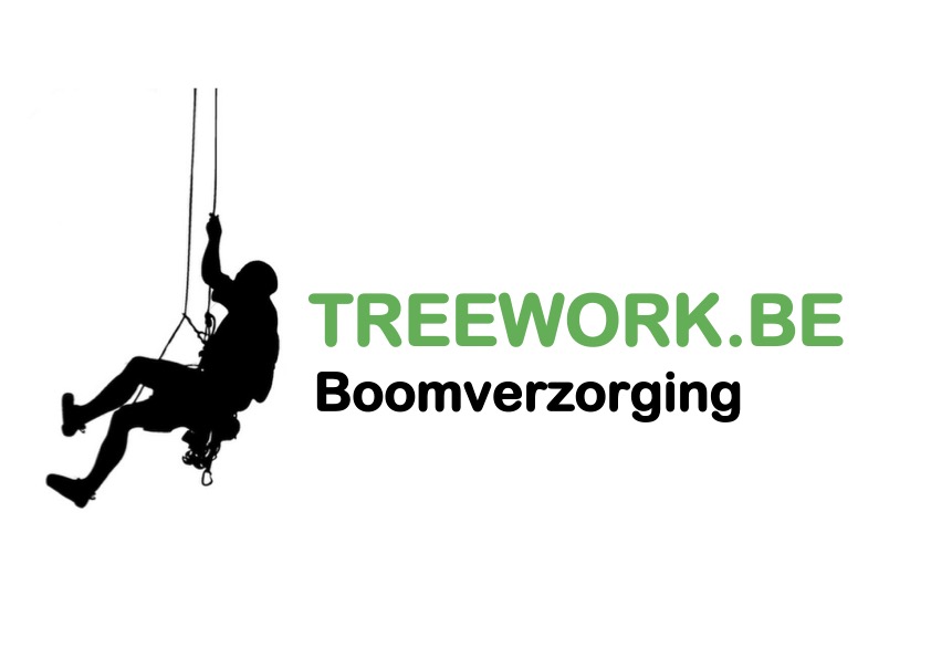 boomverzorgers Geraardsbergen treework.be